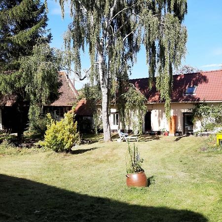 Le Domaine Des Anges Vendégház Wavrans-sur-l'Aa Kültér fotó