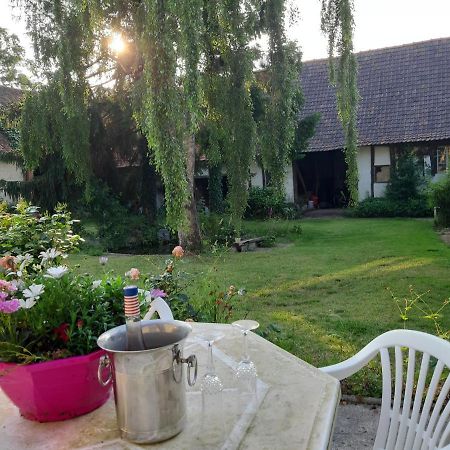 Le Domaine Des Anges Vendégház Wavrans-sur-l'Aa Kültér fotó