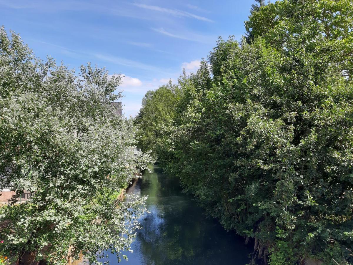 Le Domaine Des Anges Vendégház Wavrans-sur-l'Aa Kültér fotó