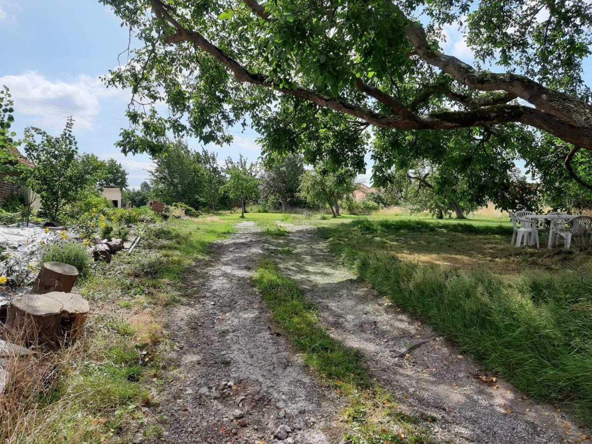 Le Domaine Des Anges Vendégház Wavrans-sur-l'Aa Kültér fotó