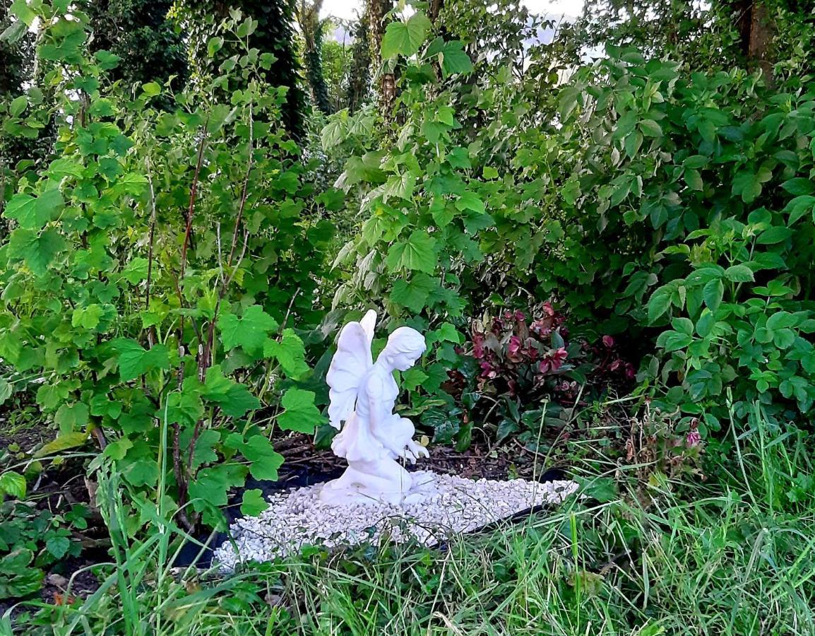 Le Domaine Des Anges Vendégház Wavrans-sur-l'Aa Kültér fotó