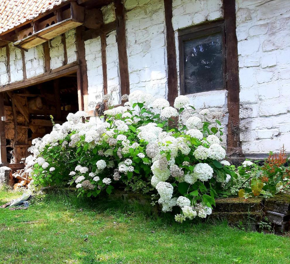 Le Domaine Des Anges Vendégház Wavrans-sur-l'Aa Kültér fotó